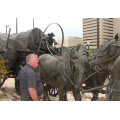 High quality Antique Brass Horse pull carriage sculpture